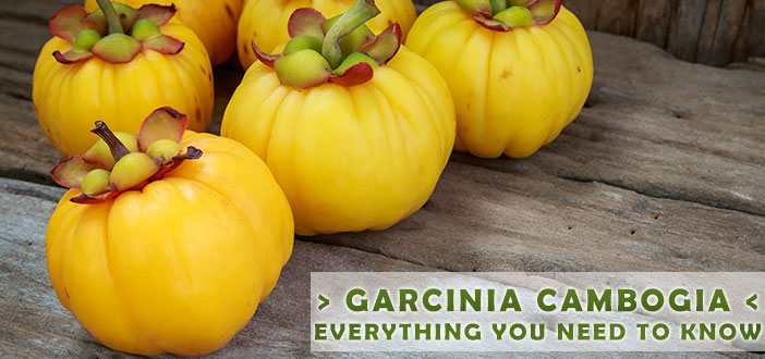 Is Garcinia Cambogia the Holy Grail of Weight Loss?