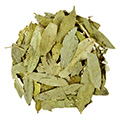 senna-leaf