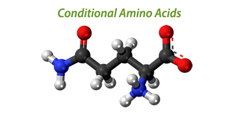 Conditional Amino Acids